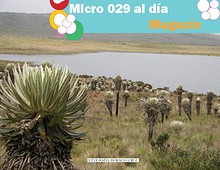 MIcro 029 al dia Magazin marzo