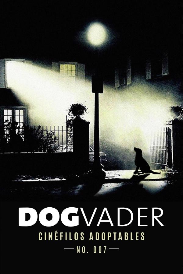 DogVader #007