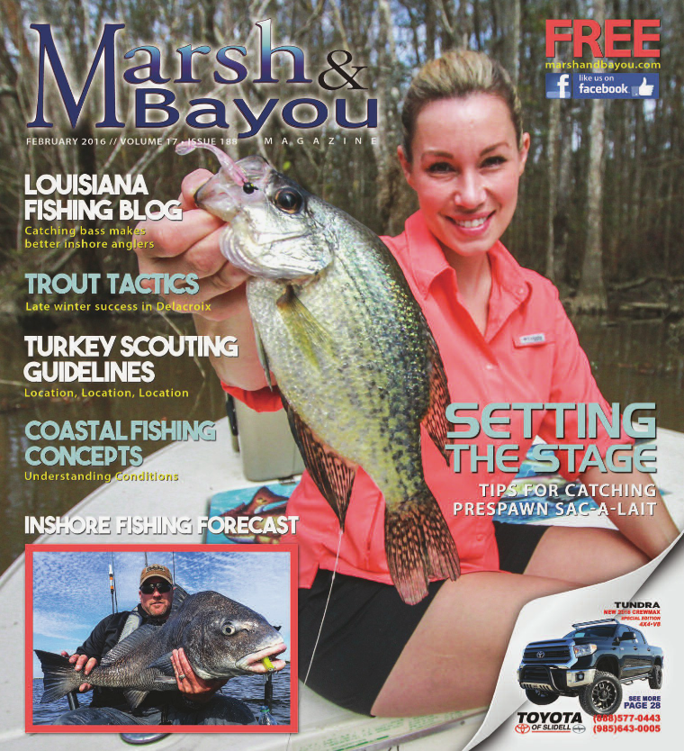 February 2016 Marsh & Bayou