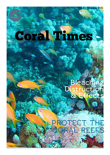 Coral Reef Destruction