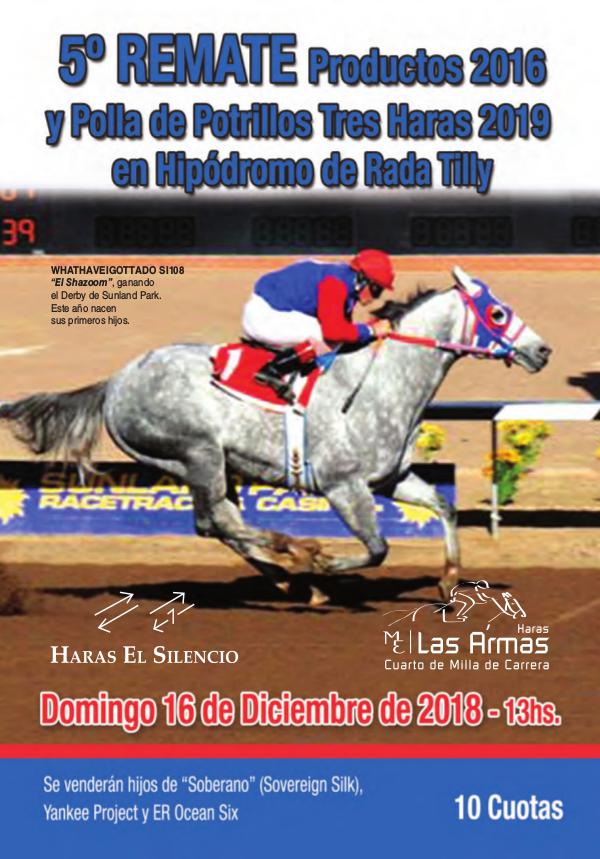 5º REMATE Productos 2016 y Polla Tres Haras 2019 Rada Tilly RadaTilly18