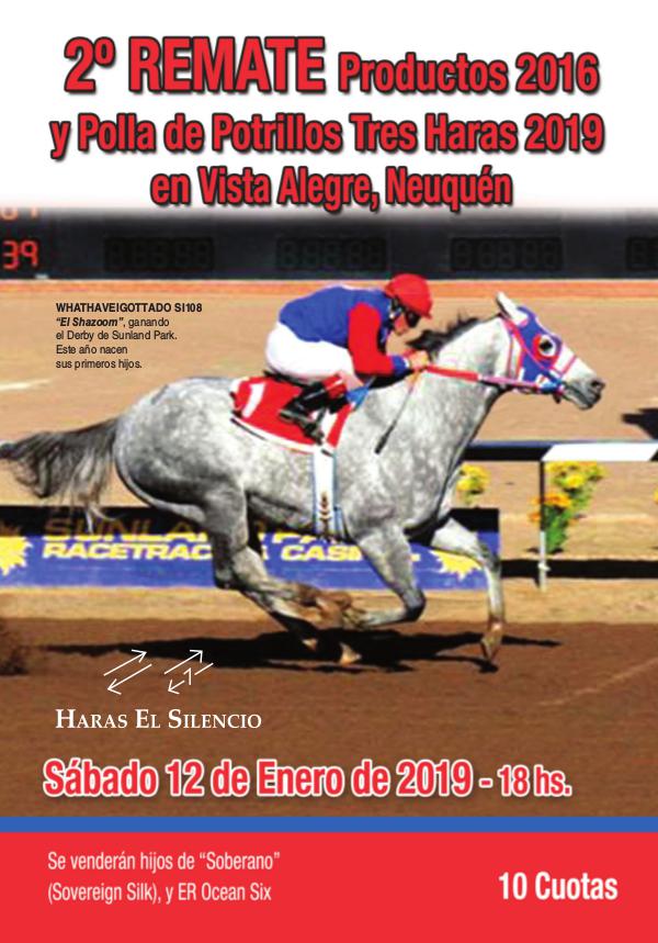 2º REMATE Tres Haras Productos 2016 y Polla 2019 en Vista Alegre, Nqn VistaAlegre19