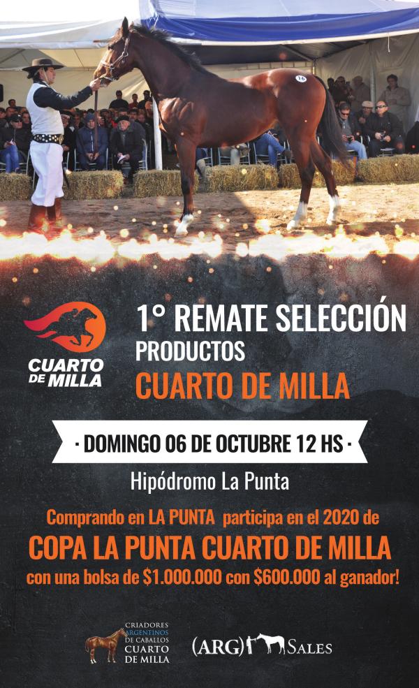 1º REMATE SELECCION CUARTO DE MILLA - Hipódromo La Punta CATALOGO CUARTO DE MILLA