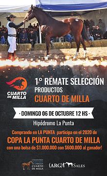 1º REMATE SELECCION CUARTO DE MILLA - Hipódromo La Punta