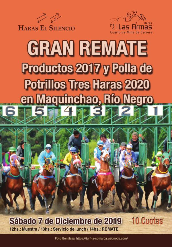 Gran Remate Tres Haras en Maquinchao Maquinchao19