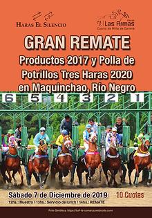 Gran Remate Tres Haras en Maquinchao