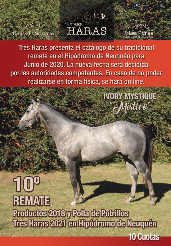 Remate Tres Haras Neuquén 2020 TresHarasNeuquen20