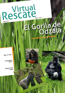 VirtualRescate (March. 2013)