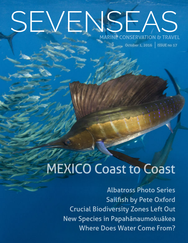 Issue 17, October 2016