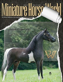 2017 Miniature Horse World