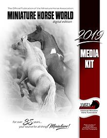 2019 Media Kit