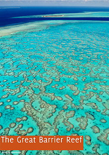 The Great Barrier Reef