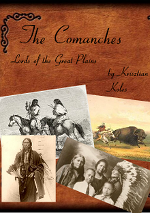 The Comanche Indians