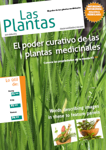 LAS PLANTAS MEDICINALES 04 2013