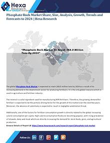 Bulkchemicals Market Reports