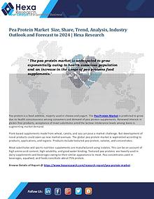 Food and Beverages Industry Report