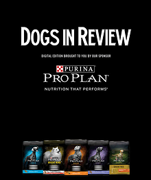 Dogs In Review Magazine