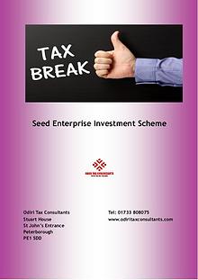 Seed Enterprise Investment Scheme