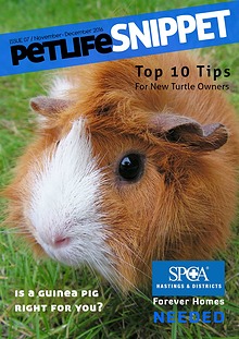 Pet Life SnipPET, New Zealand