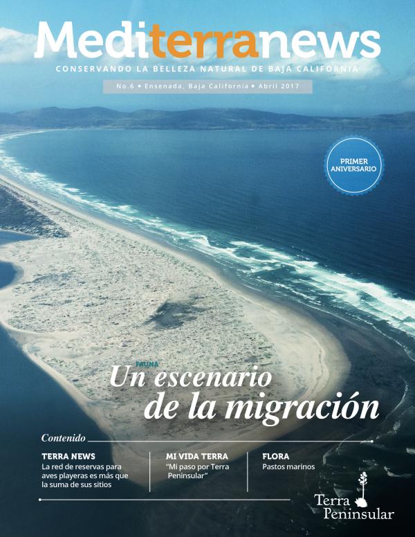 Mediterranews (Español) ABRIL 2017