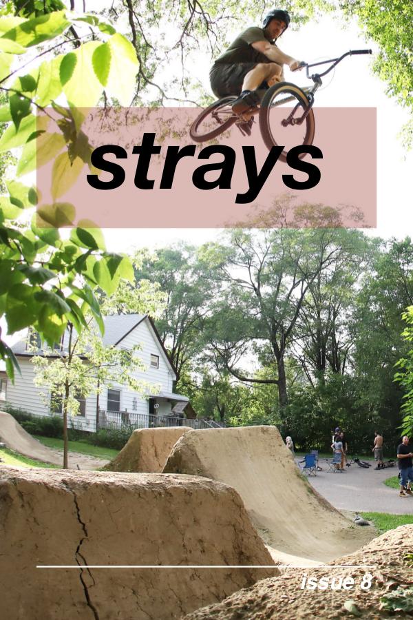 Strays 8