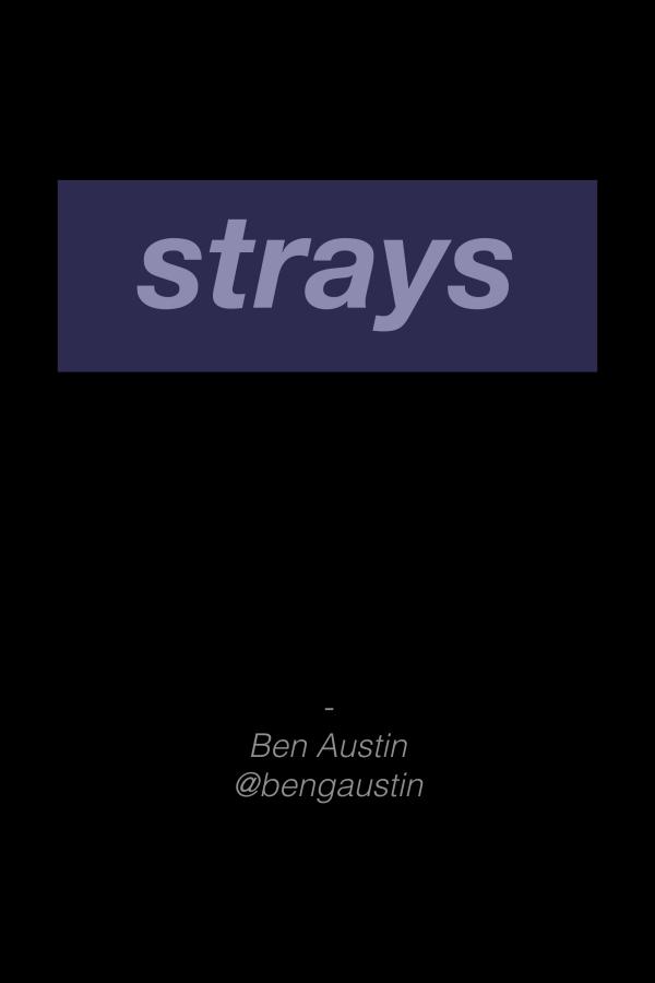 Strays BMX Strays 1