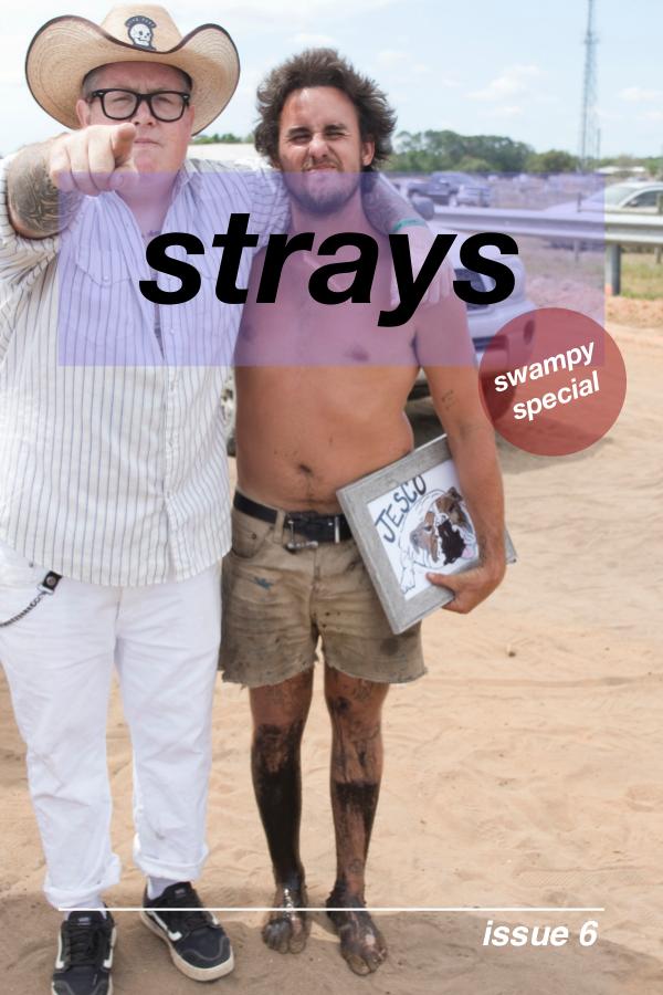 Strays 6