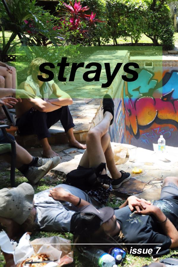 Strays BMX Strays 7