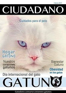 Ciudadano Gatuno