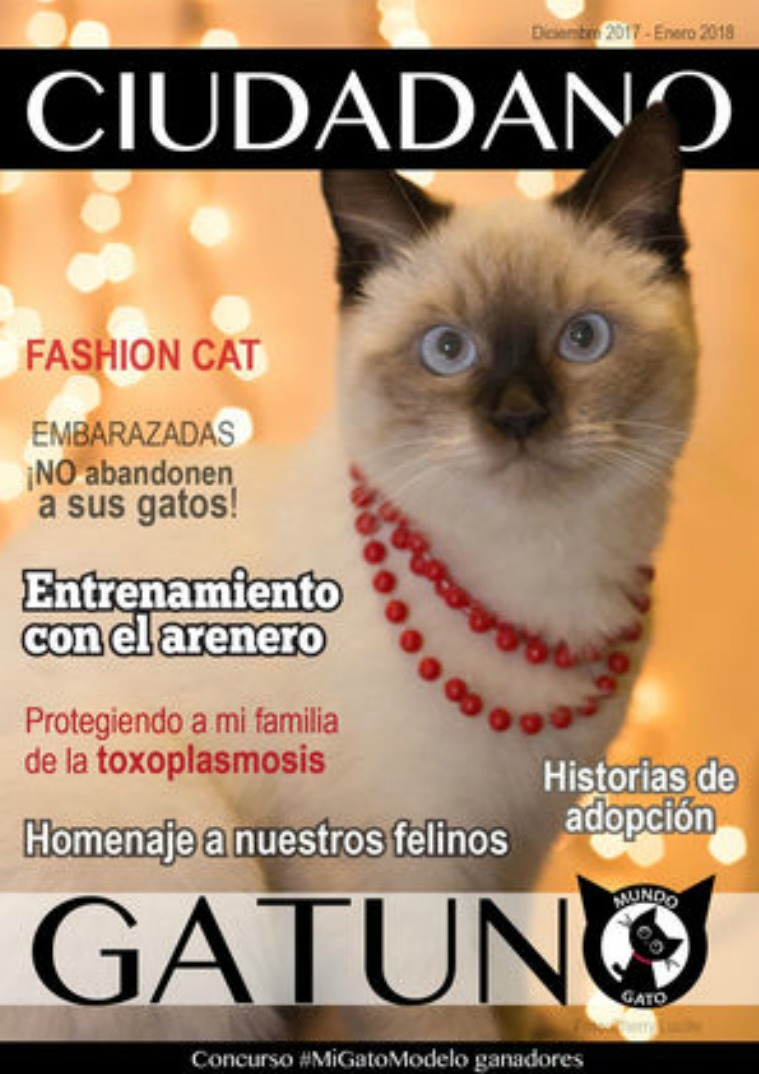 Ciudadano Gatuno Diciembre - Enero