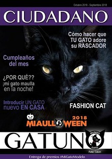 Ciudadano Gatuno