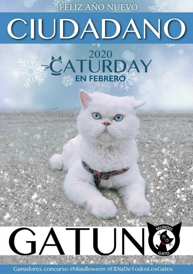 Ciudadano Gatuno Diciembre - Enero