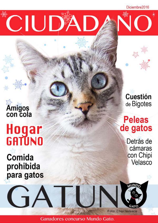 Ciudadano Gatuno Diciembre