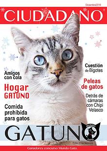 Ciudadano Gatuno