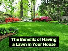 The Benefits of Having a Lawn in Your House