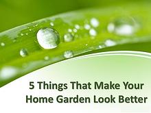 5 things that make your home garden look better