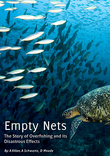 Empty Nets