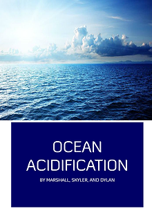 Ocean Acidification