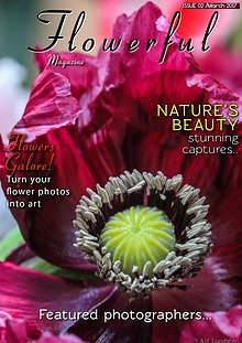 Flowerful Magazine