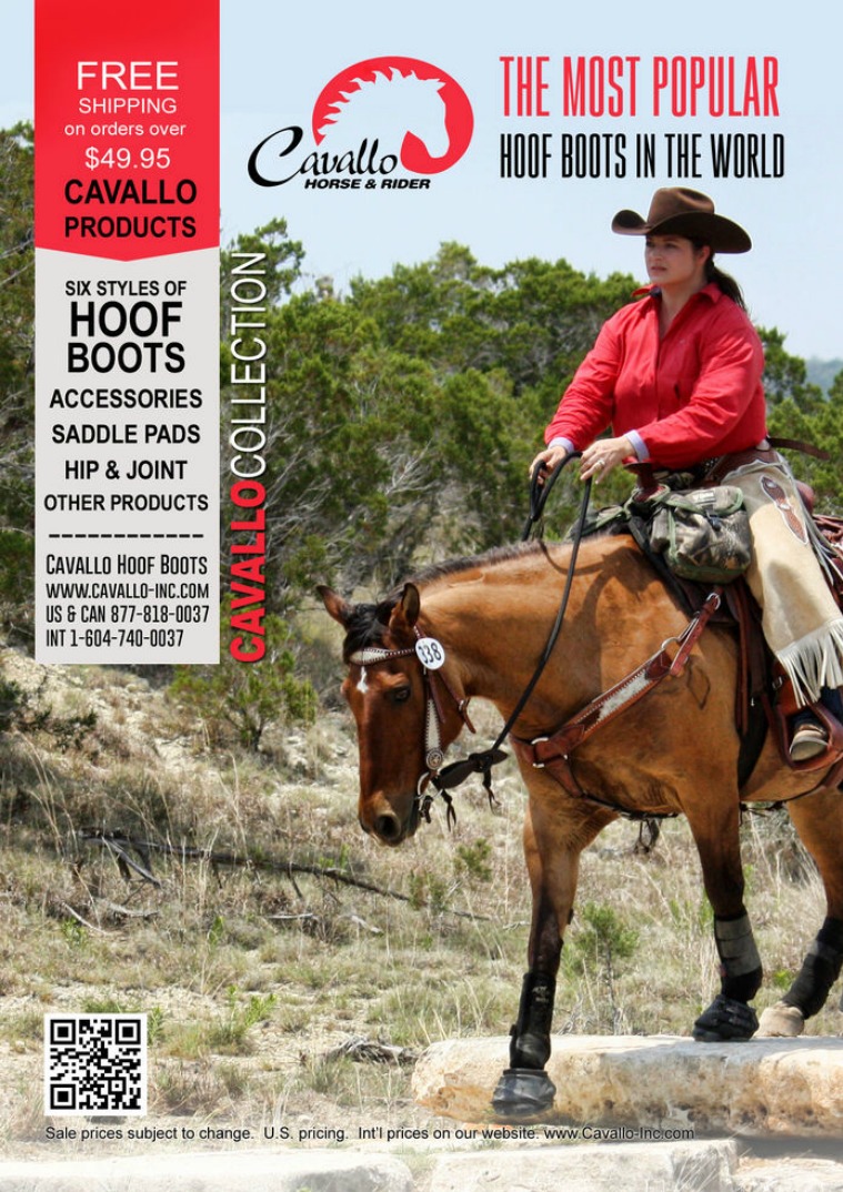 Cavallo Catalog 1