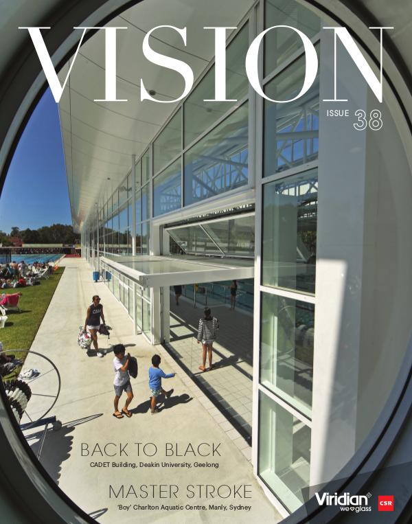 VISION Issue 38