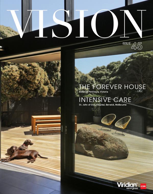 VISION Issue 45