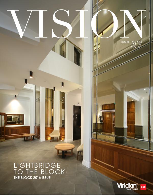 VISION Issue 37