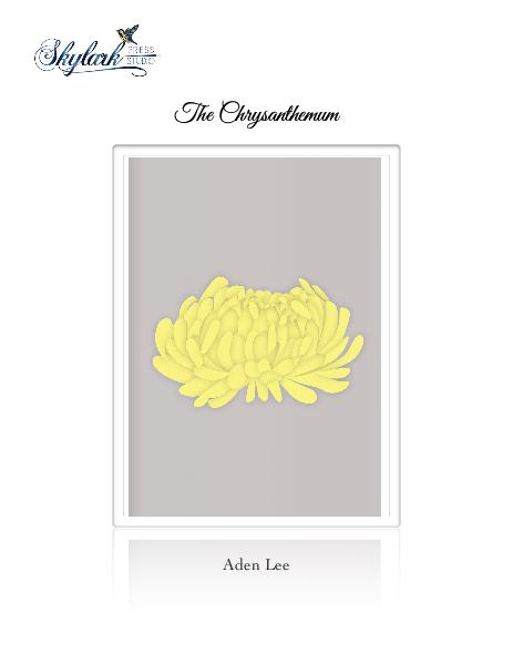 The Chrysanthemum