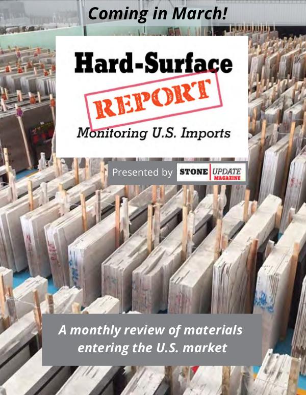 Hard Surface Report 2020 Media Planner