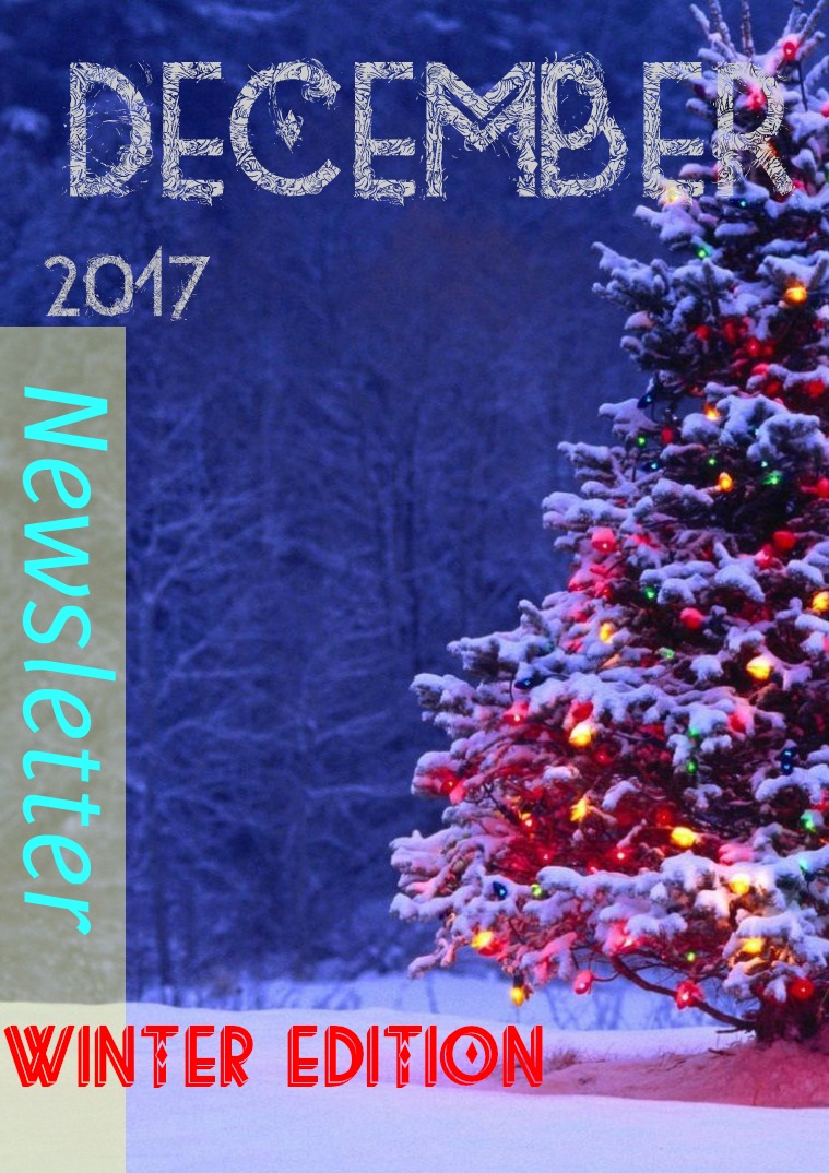 #VCLIFE Newsletter December 2017