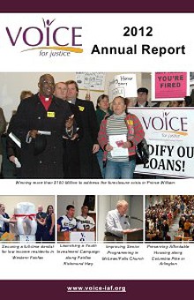 VOICE Annual Report