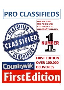 PRO CLASSIFIEDS no 1 - June 2013