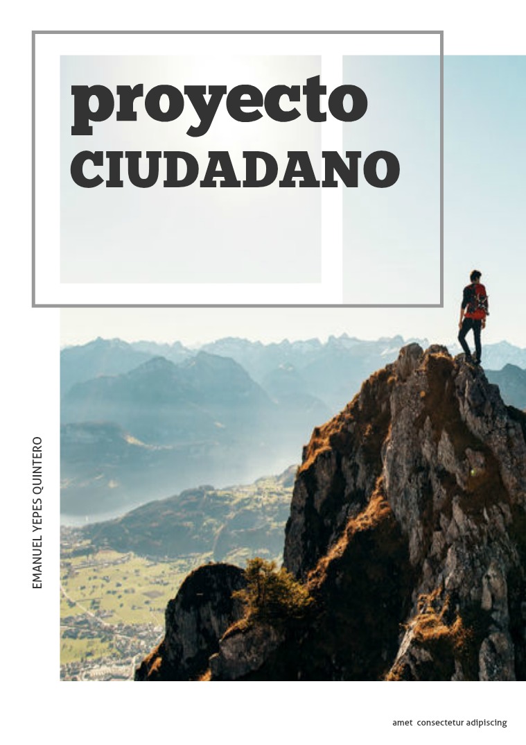 Proyecto Competencias ciudadanas 11 1