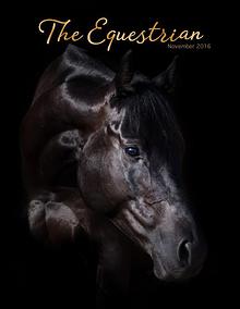 The Equestrian